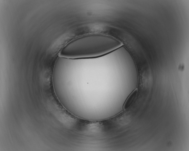 X0000112520505200908241448
