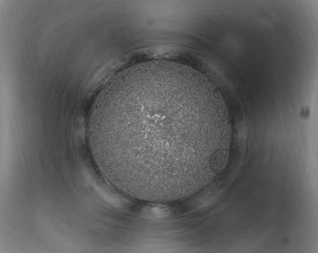 X0000112520506200908241448