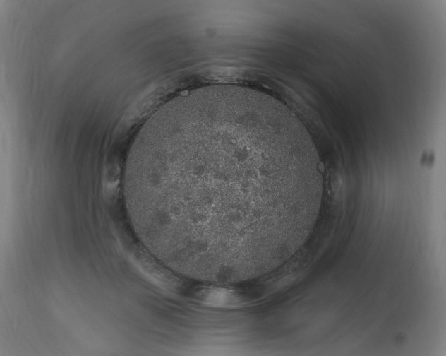 X0000112520507200908241448