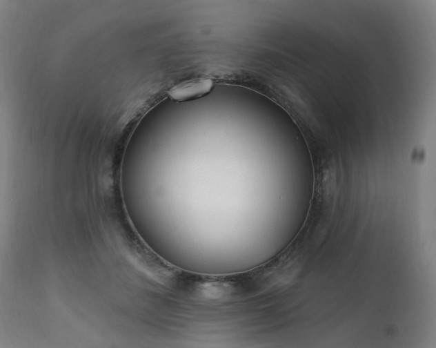 X0000112520508200908241448