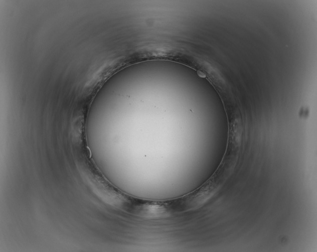 X0000112520509200908241448