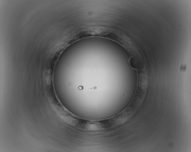 X0000112520510200908241448
