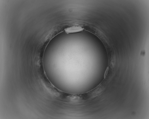 X0000112520512200908241448