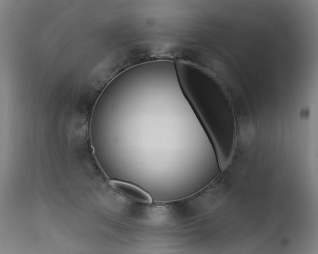 X0000112520513200908241448