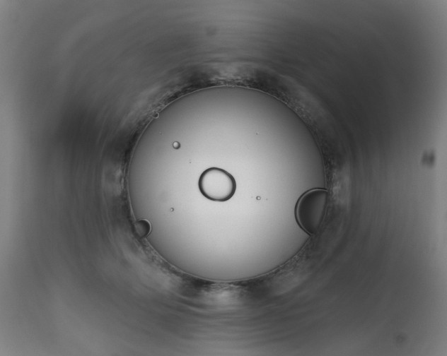 X0000112520514200908241448