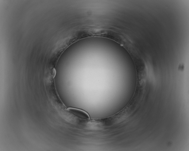X0000112520515200908241448