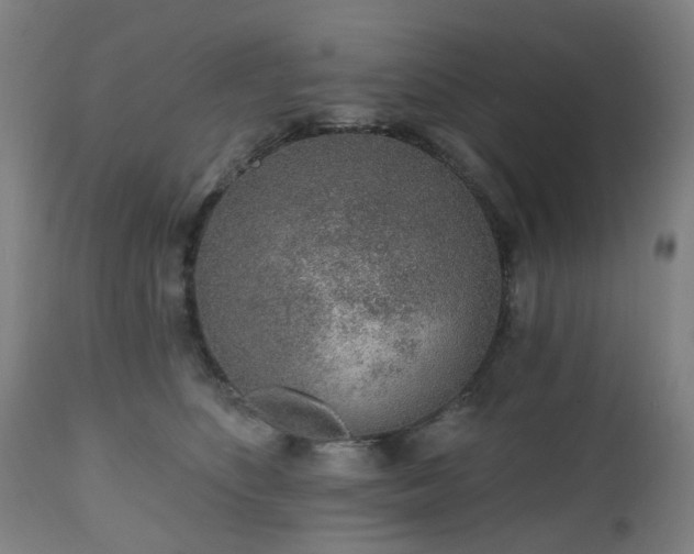 X0000112520516200908241448