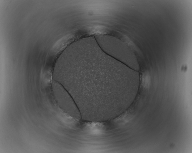 X0000112520517200908241448