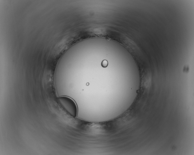 X0000112520518200908241448