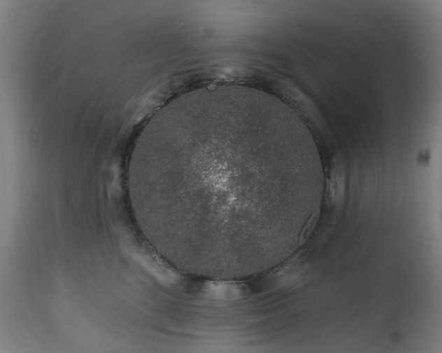 X0000112520520200908241448