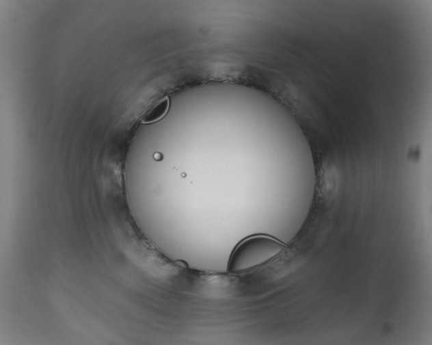 X0000112520522200908241448