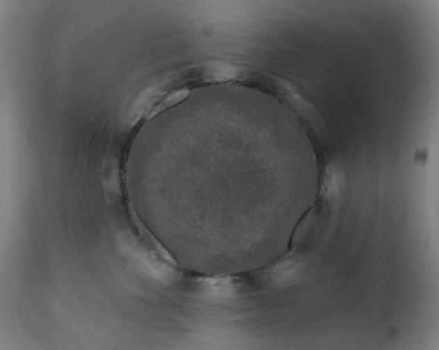 X0000112520524200908241447