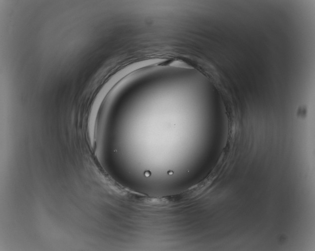 X0000112520525200908241447