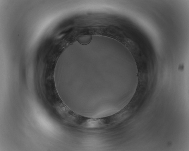 X0000112520526200908241447