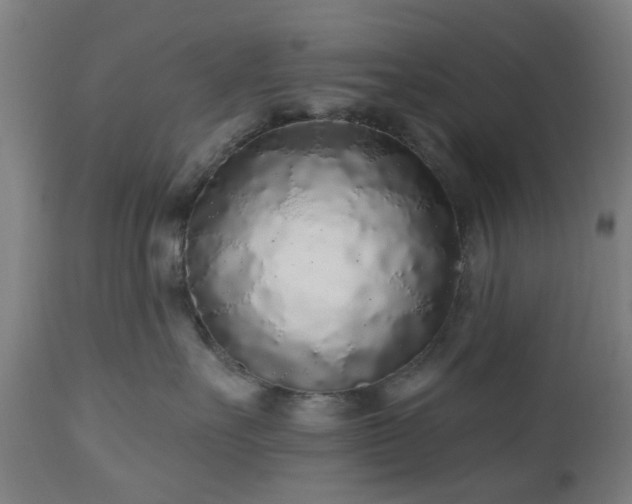 X0000112520527200908241447