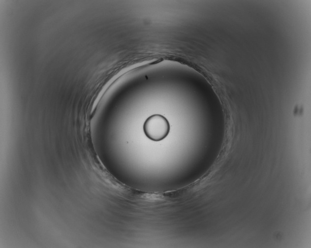 X0000112520528200908241447