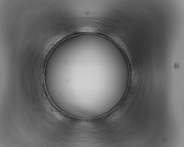 X0000112520529200908241447