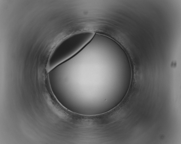 X0000112520530200908241447