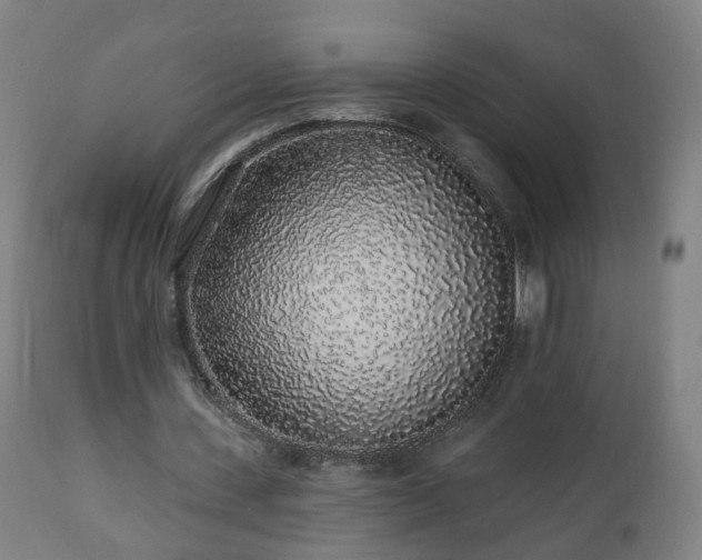 X0000112520531200908241447