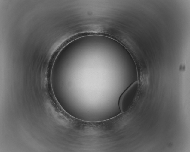 X0000112520532200908241447