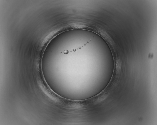 X0000112520533200908241447