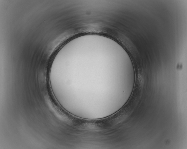 X0000112520534200908241447