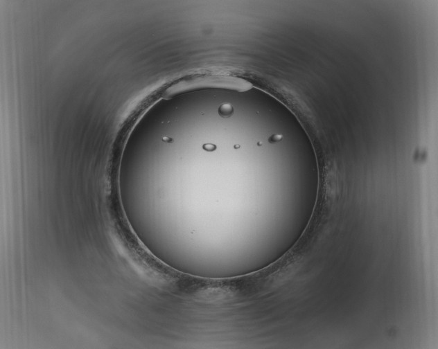 X0000112520536200908241447