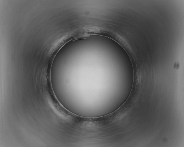 X0000112520538200908241447