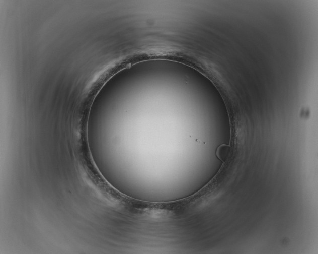 X0000112520539200908241447