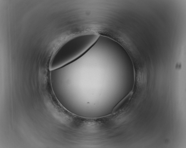 X0000112520540200908241447