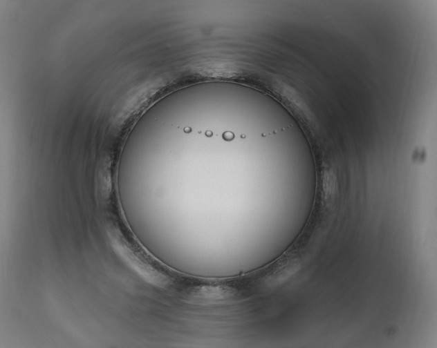 X0000112520541200908241447