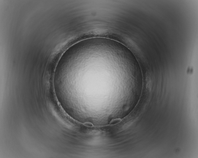 X0000112520542200908241447