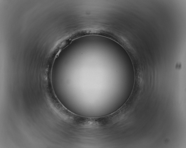 X0000112520543200908241447