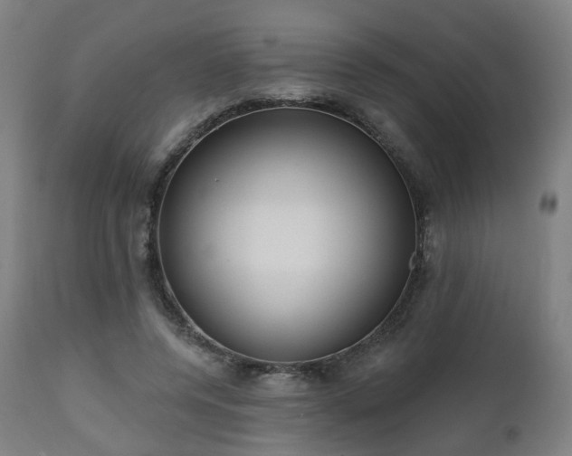 X0000112520544200908241447
