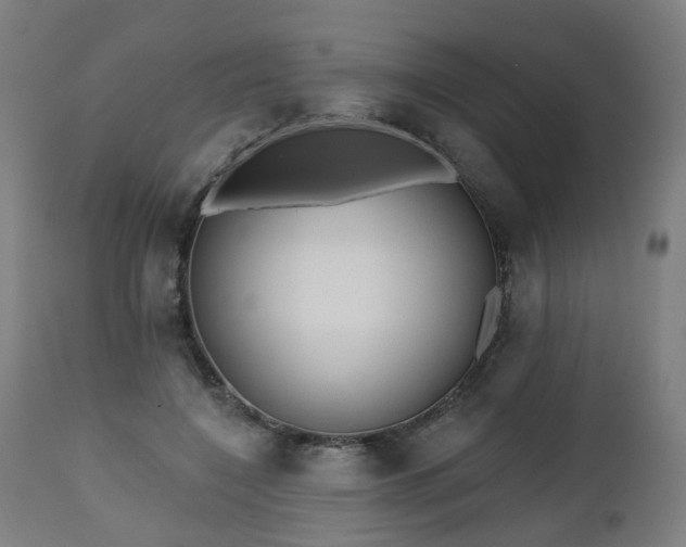 X0000112520548200908241447
