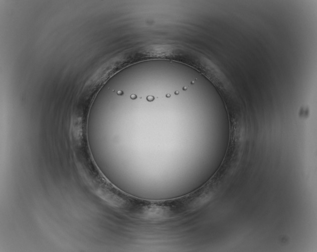X0000112520549200908241447