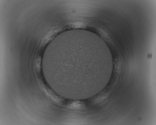 X0000112520550200908241447