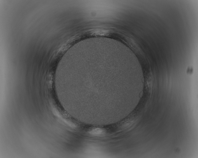 X0000112520551200908241447