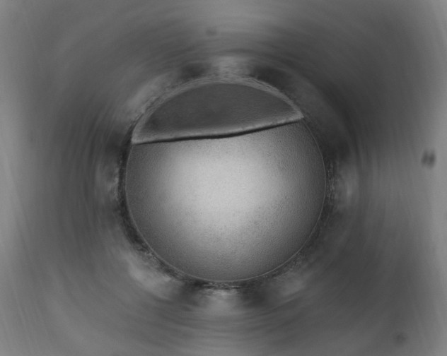 X0000112520552200908241447