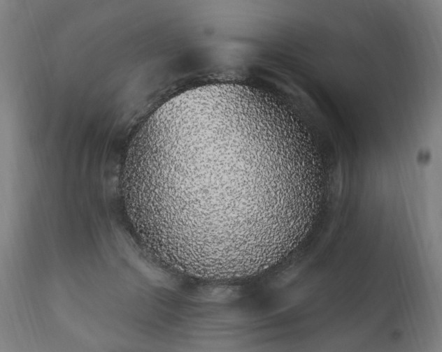 X0000112520553200908241447