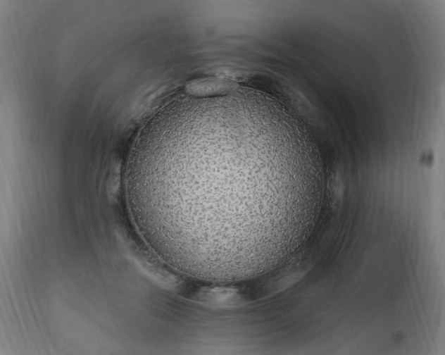 X0000112520554200908241447