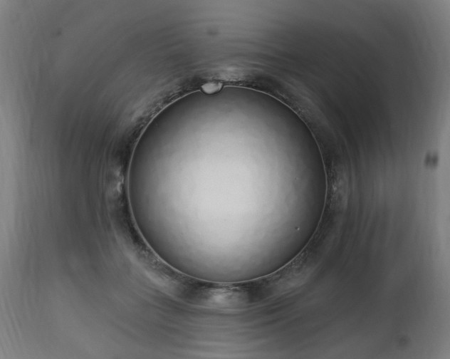 X0000112520555200908241447