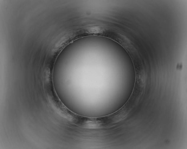 X0000112520556200908241447