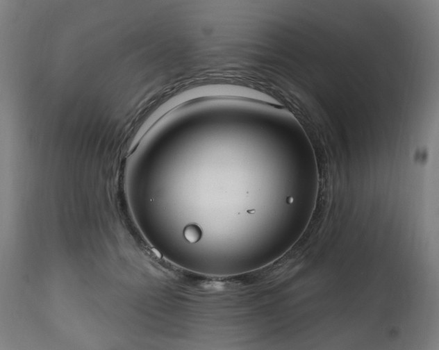 X0000112520558200908241447