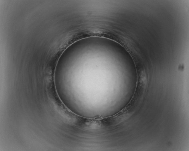 X0000112520559200908241447