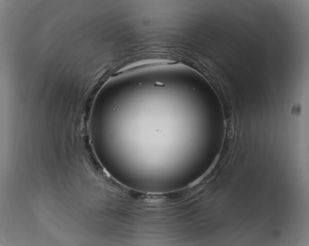 X0000112520560200908241447