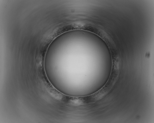 X0000112520561200908241447