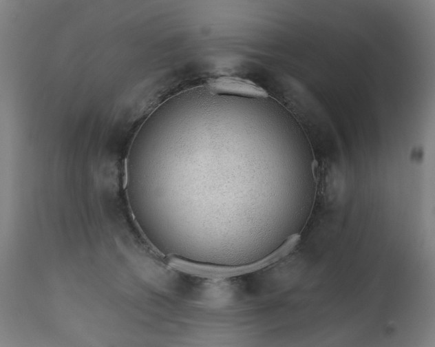 X0000112520562200908241447