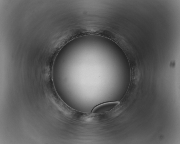 X0000112520563200908241447