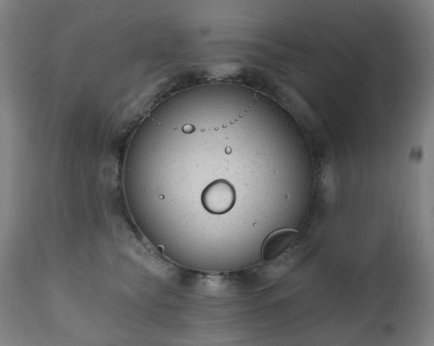 X0000112520565200908241447